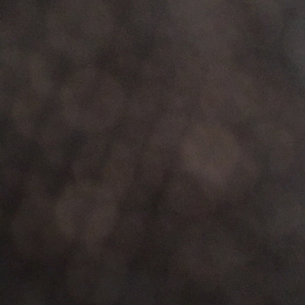 Meet your Posher, Bailey